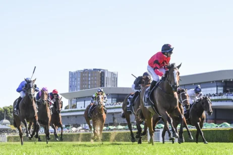 2025 Flight Stakes Odds Firm Into $2 for Tea Rose Winner Apocalyptic