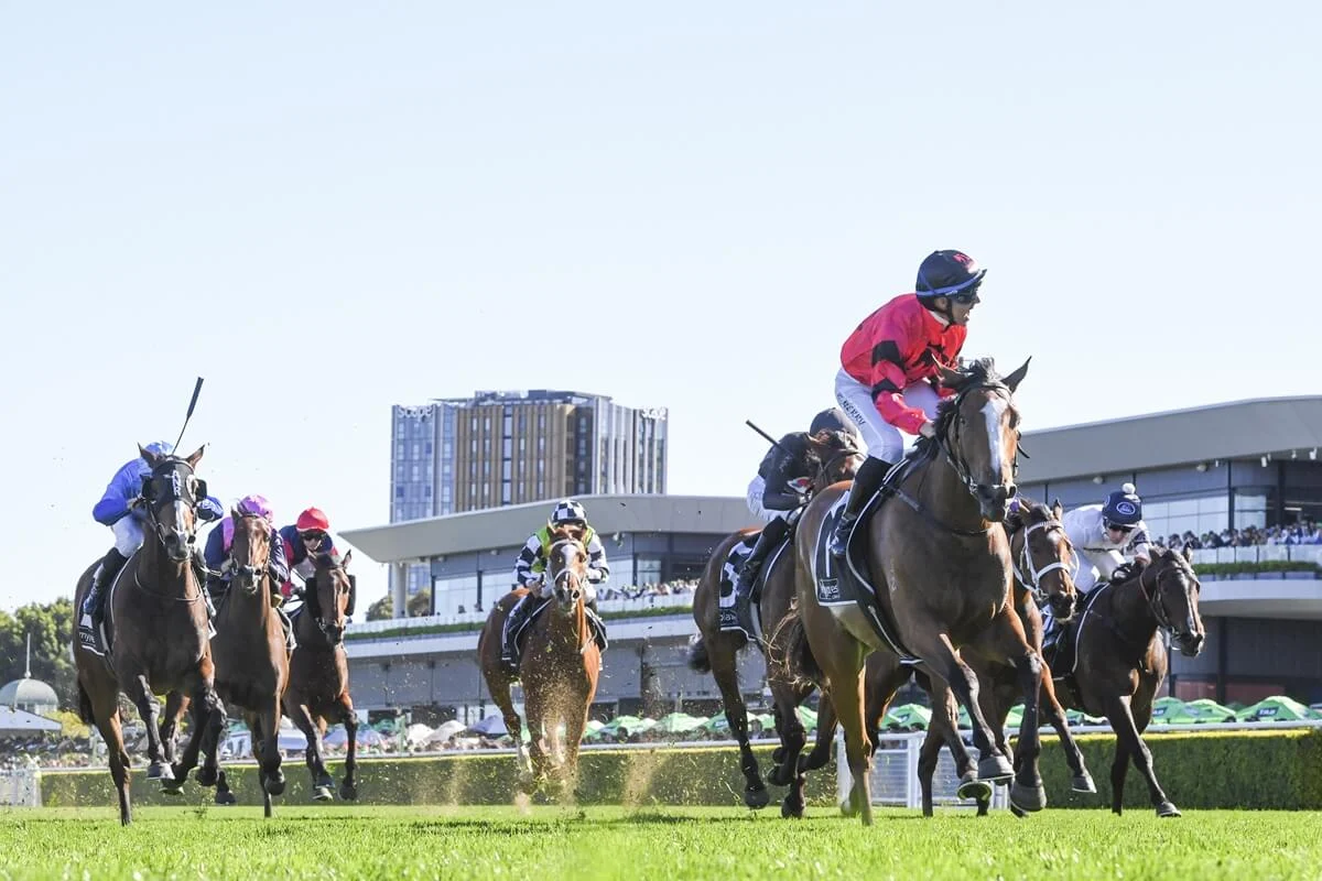 2025 Tea Rose Stakes winner Apocalyptic