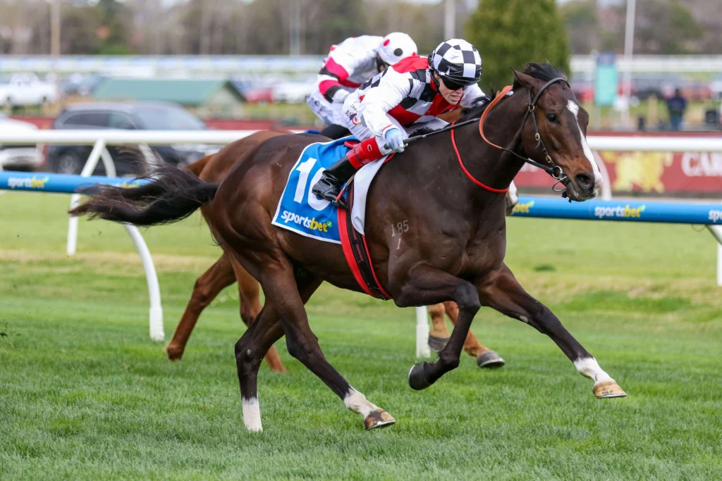 2025 Sir Rupert Clarke Stakes winner Sepals