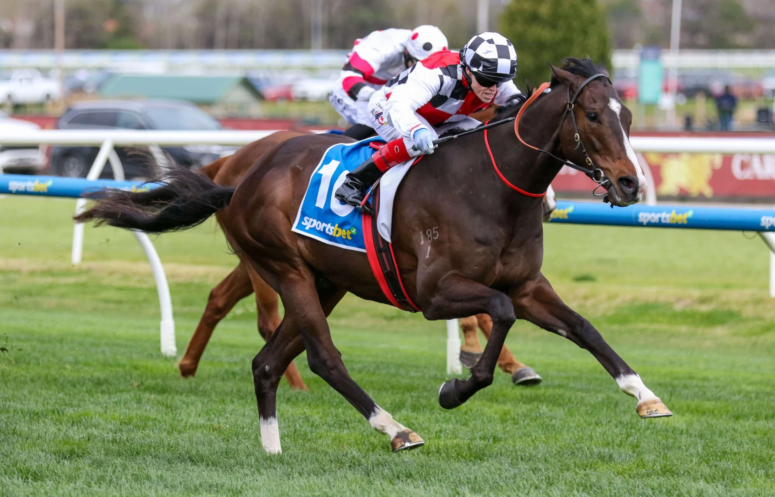 2025 Sir Rupert Clarke Stakes winner Sepals