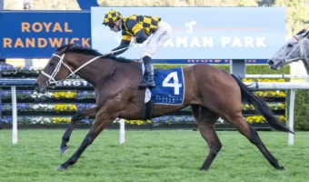 2026 Expressway Stakes Field & Odds Update: Six Runners Remain