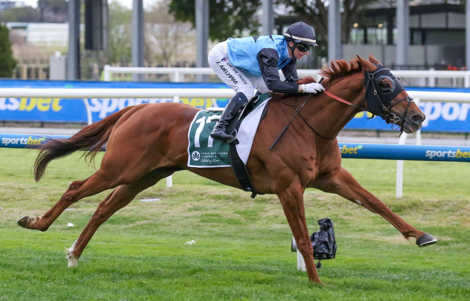 2025 Naturalism Stakes winner Half Yours