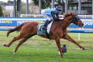 2026 Caulfield Cup Field & Barriers: Half Yours