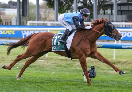 2026 Caulfield Cup Field & Barriers: Half Yours