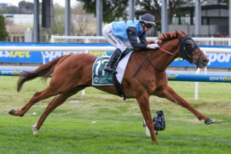 2025 Naturalism Stakes winner Half Yours