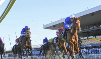 2026 Surround Stakes Field & Betting Update: Punters Tempted