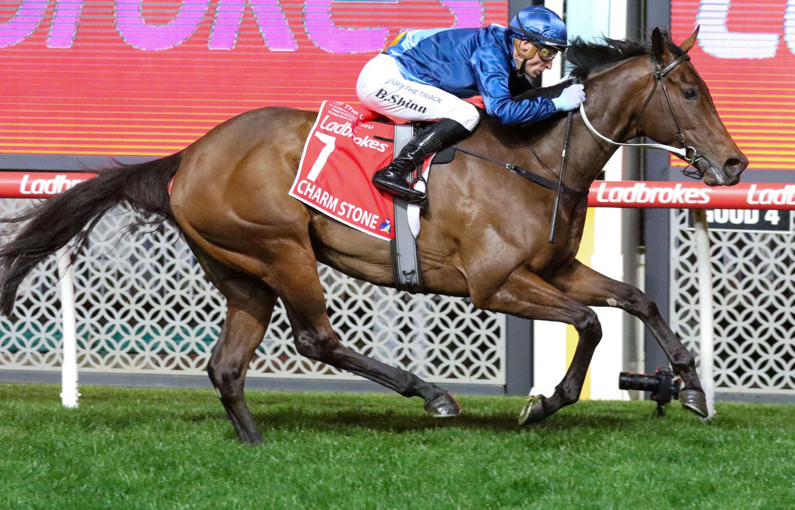 2025 Manikato Stakes winner Charm Stone