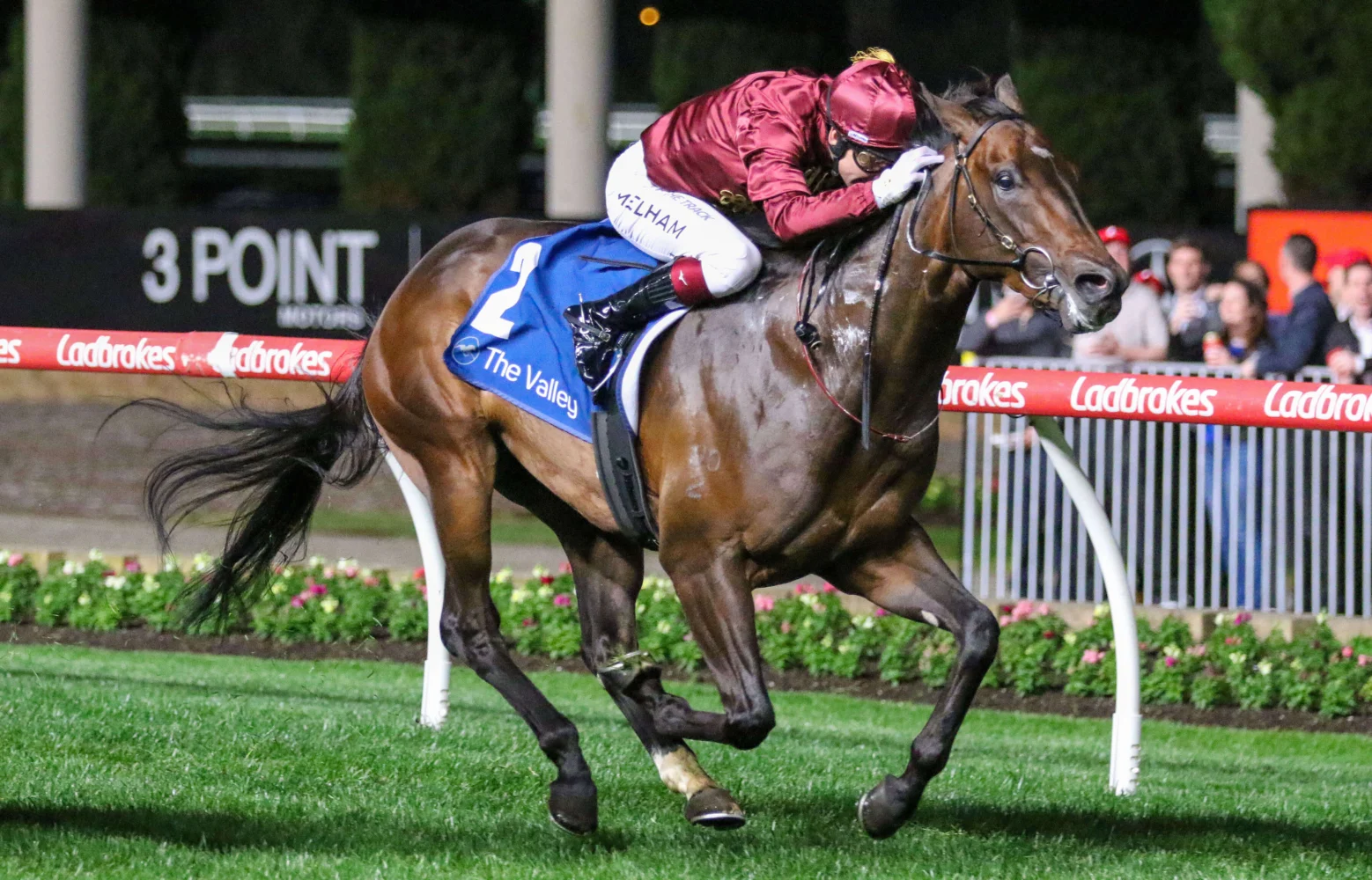 2025 Stutt Stakes winner West Of Swindon