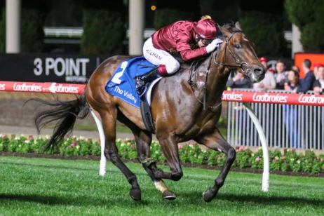 2025 Stutt Stakes winner West Of Swindon