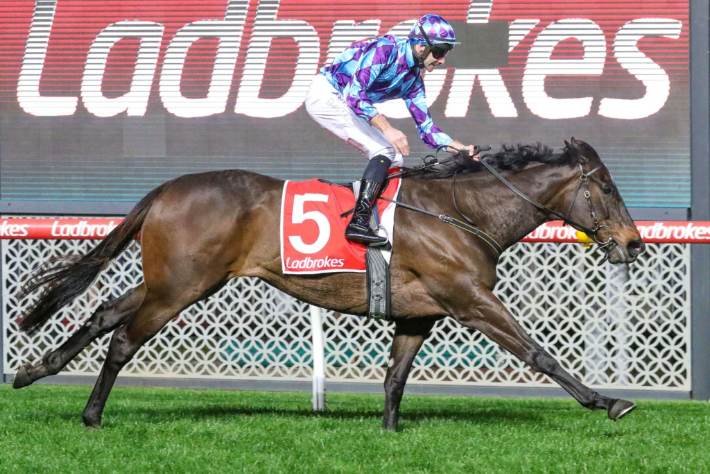 2025 Feehan Stakes winner Pride Of Jenni