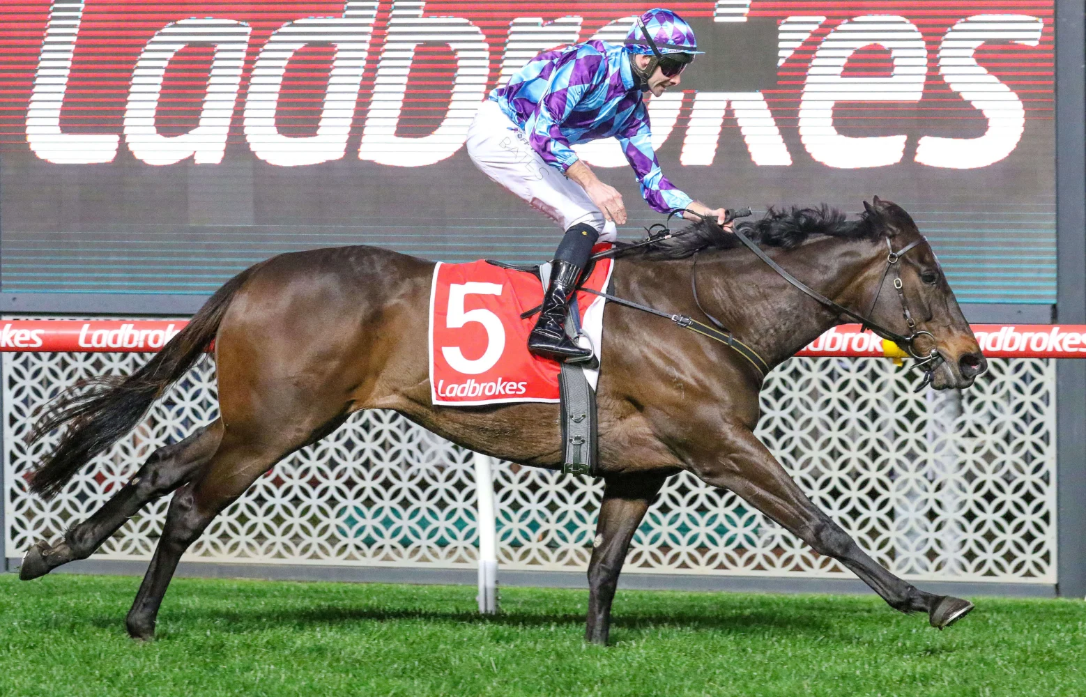 2025 Feehan Stakes winner Pride Of Jenni