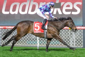 2025 Feehan Stakes winner Pride Of Jenni