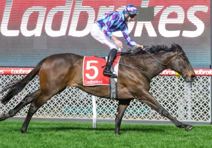 2025 Feehan Stakes winner Pride Of Jenni