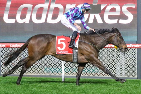 2025 Feehan Stakes winner Pride Of Jenni