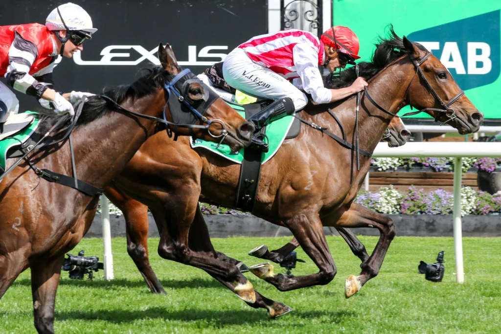 2025 Edward Manifold Stakes winner Getta Good Feeling