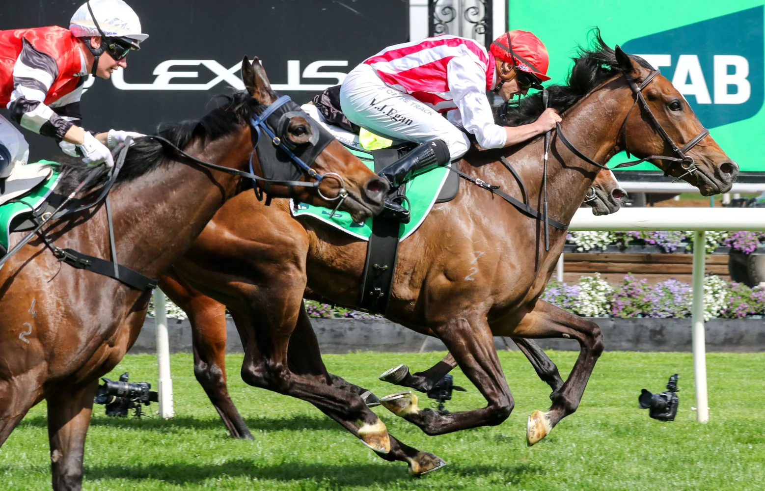 2025 Edward Manifold Stakes winner Getta Good Feeling