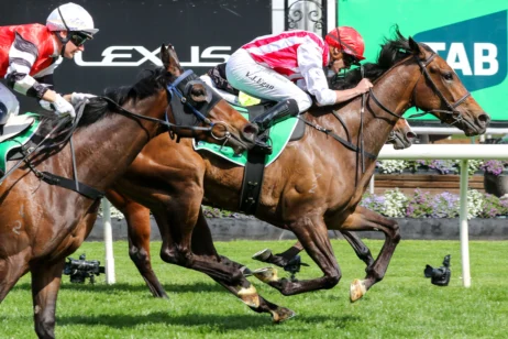 2025 Edward Manifold Stakes winner Getta Good Feeling