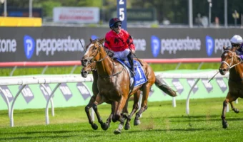 2026 Light Fingers Stakes Field & Betting: Apocalyptic Resumes as Odds-On Favourite