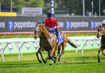 2025 Flight Stakes winner Apocalyptic