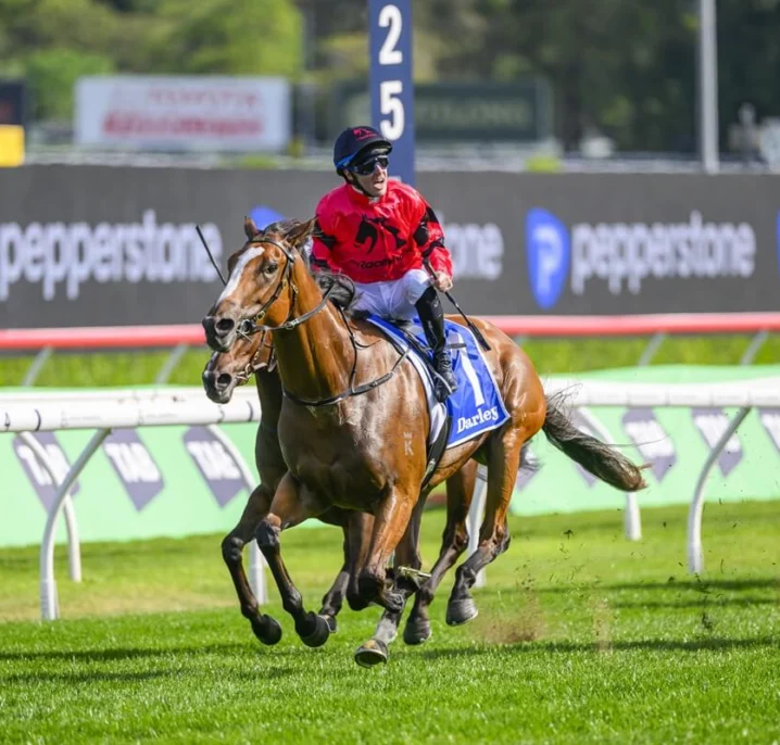 2026 Light Fingers Stakes Field & Betting: Apocalyptic Resumes as Odds-On Favourite