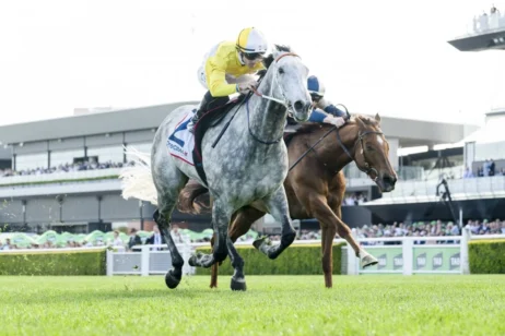 2025 Premiere Stakes winner Briasa