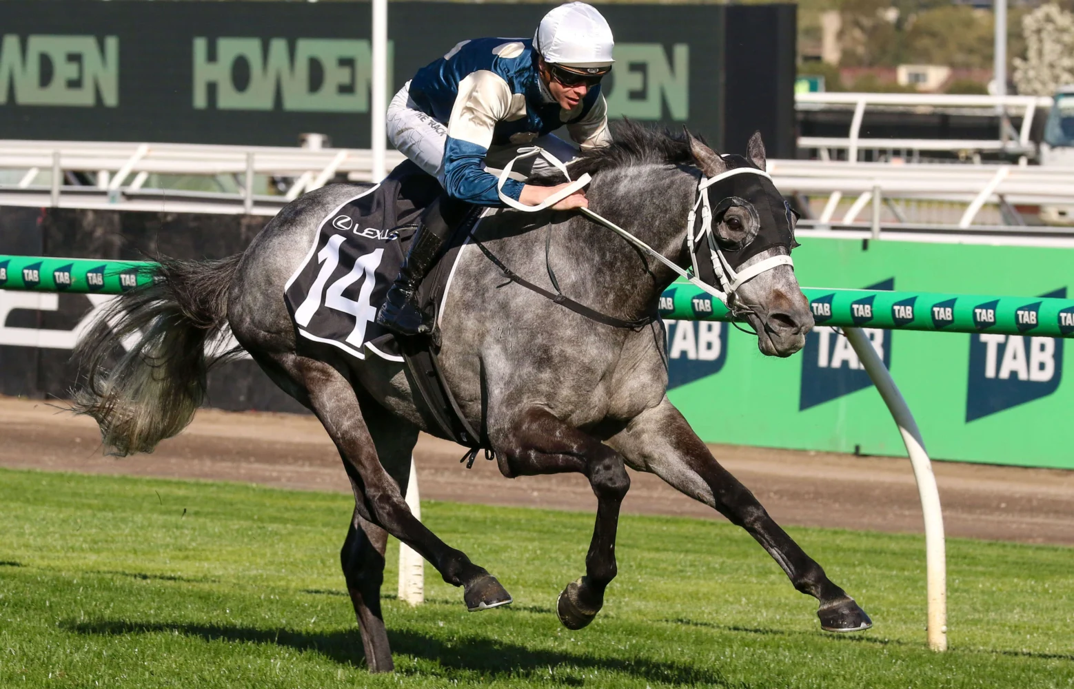 2025 The Bart Cummings winner Valiant King