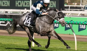All Melbourne Cup Horses In 2025 Field: Pros & Cons