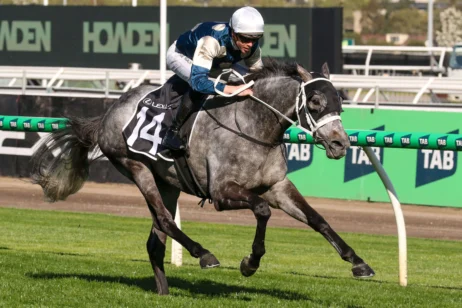 2025 The Bart Cummings winner Valiant King