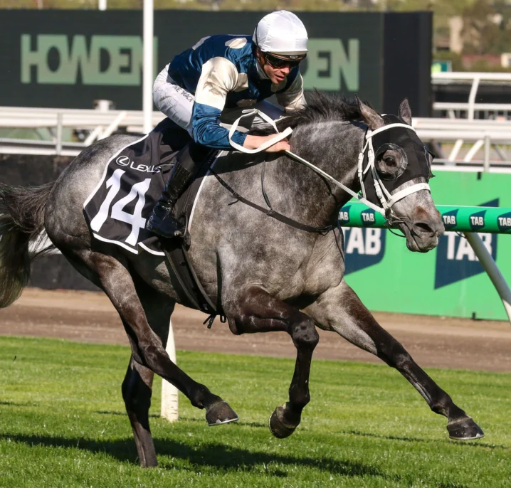 All Melbourne Cup Horses In 2025 Field: Pros & Cons