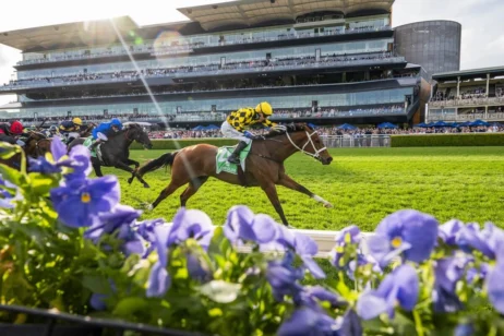 2025 Epsom Handicap winner Autumn Glow