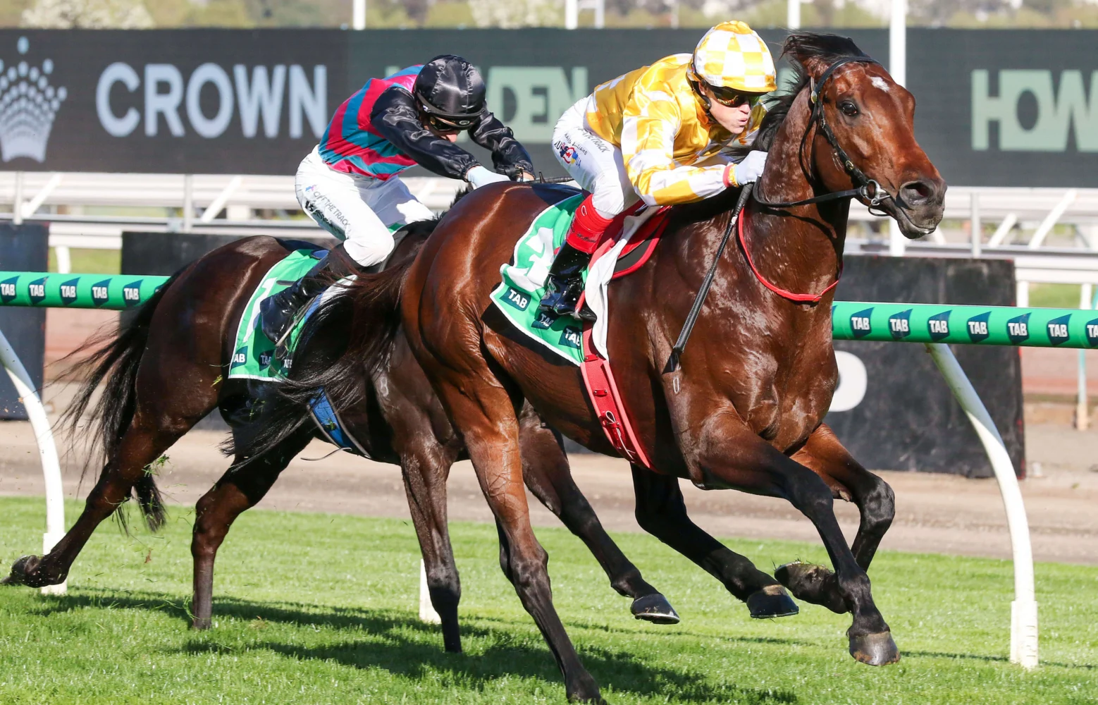 2025 Turnbull Stakes winner Sir Delius