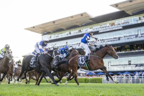 2025 The Metropolitan winner Royal Supremacy