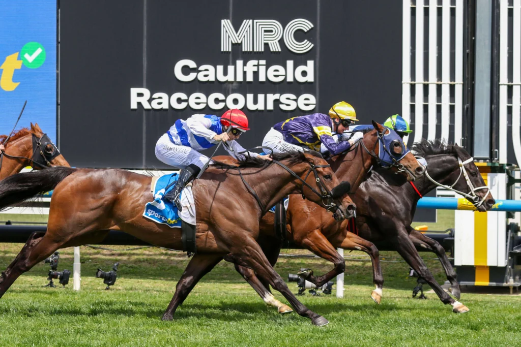 2025 Herbert Power Stakes winner Brayden Star