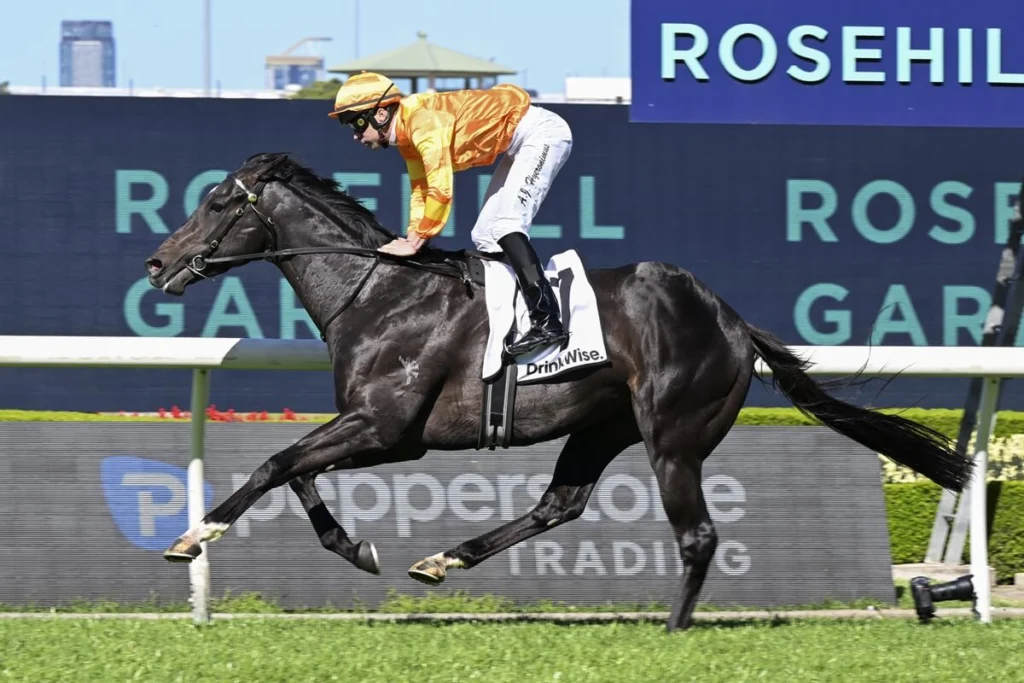 2025 Gloaming Stakes winner Shangri La Boy