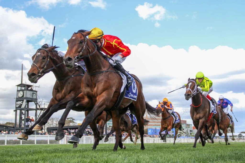 2025 Toorak Handicap winner Transatlantic