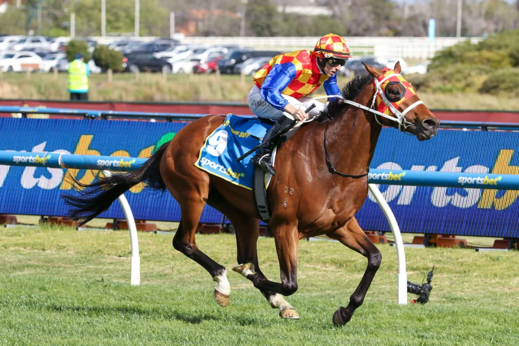 2025 Caulfield Guineas winner Autumn Boy