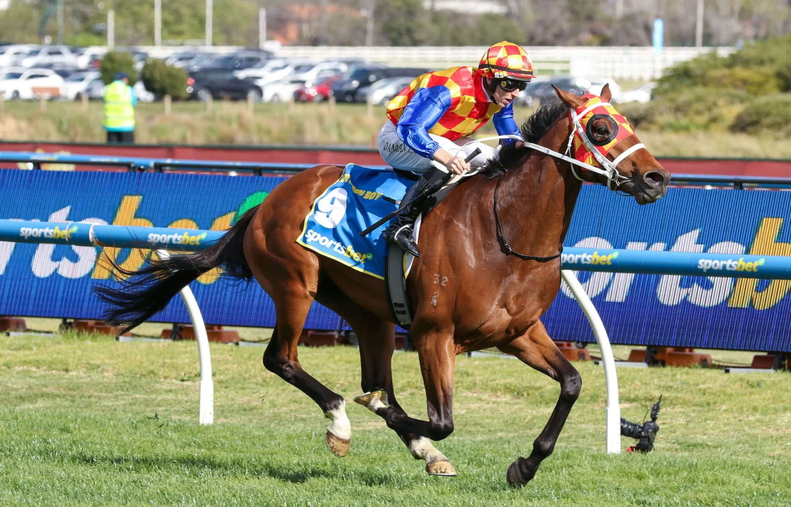 2025 Caulfield Guineas winner Autumn Boy