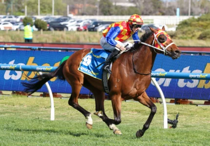 2025 Caulfield Guineas winner Autumn Boy