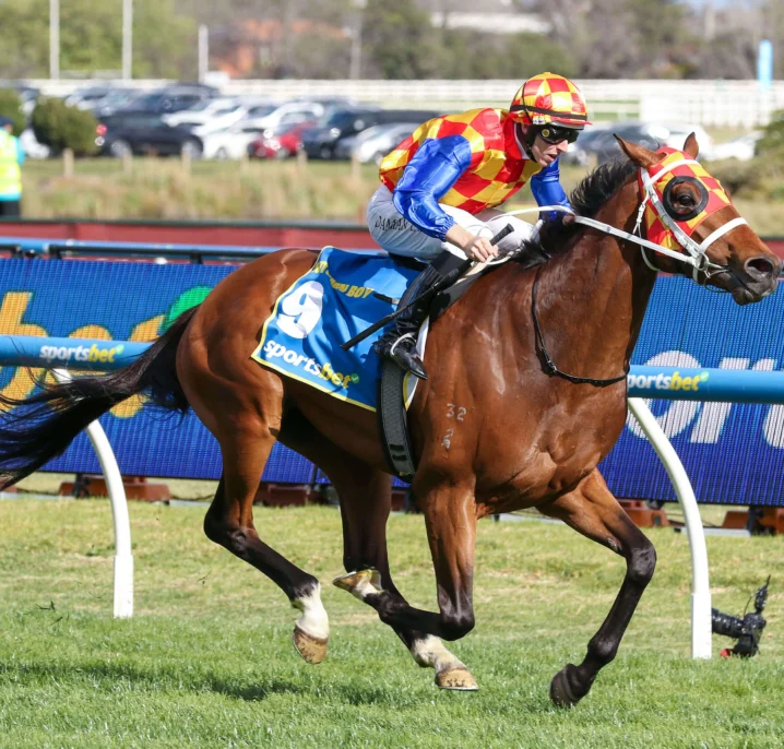 Rosehill Guineas 2026 Field & Betting Update: Autumn Boy vs. Observer