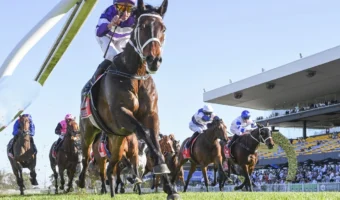2026 Chelmsford Stakes Field, Betting & Tips