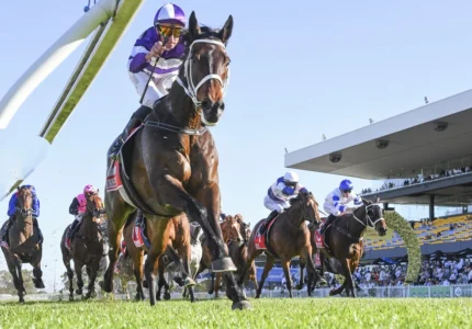 2026 Chelmsford Stakes Field & Tips: Lindermann