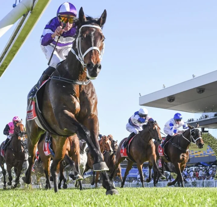 2026 Chelmsford Stakes Field, Betting & Tips
