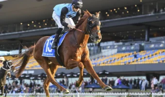 Will Half Yours Salute for the 2025 Melbourne Cup Punters and do the Double?