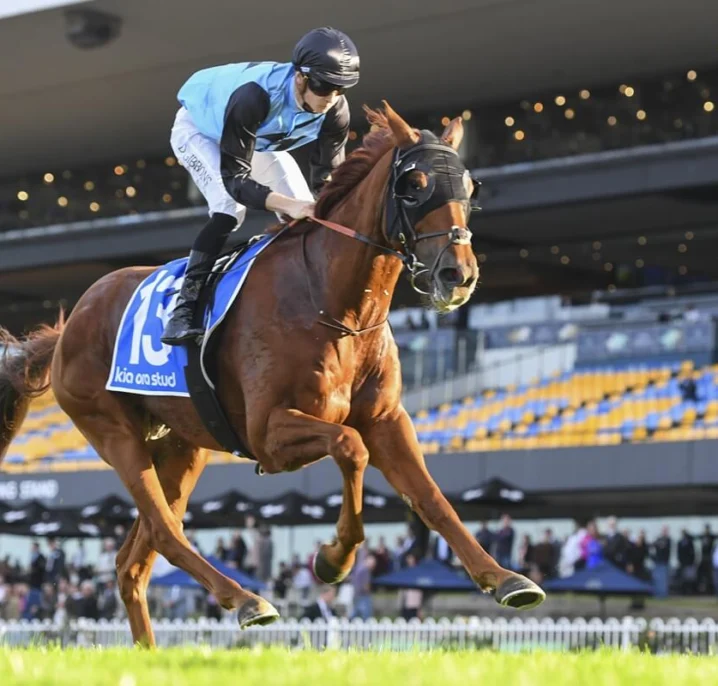 Will Half Yours Salute for the 2025 Melbourne Cup Punters and do the Double?