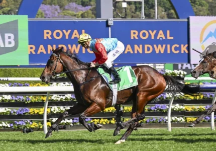 2025 The Everest winner Ka Ying Rising