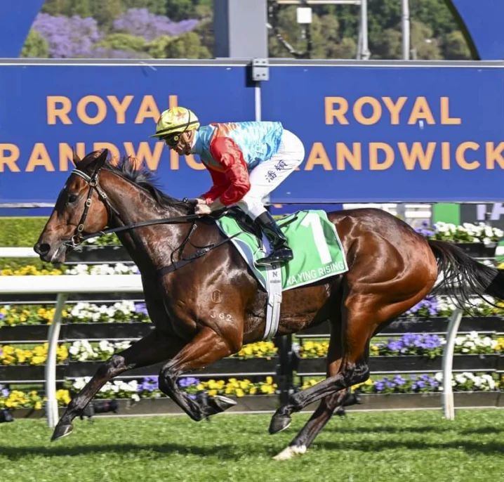 Eight Horses Confirmed for The Everest 2026 as $20 Million Sprint Showdown Takes Shape