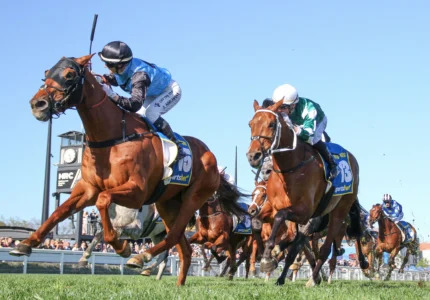 2025 Caulfield Cup winner Half Yours