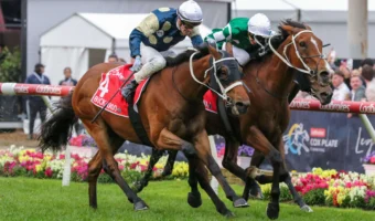 Underwood Stakes 2026 Field Preview, Tips & Best Bets