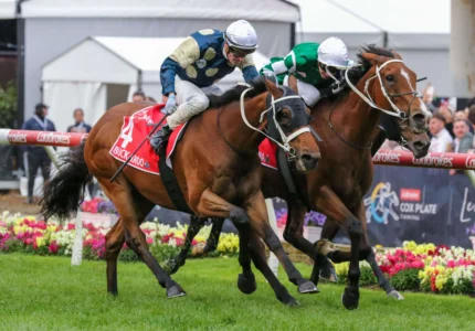 2026 Underwood Stakes Preview: Buckaroo