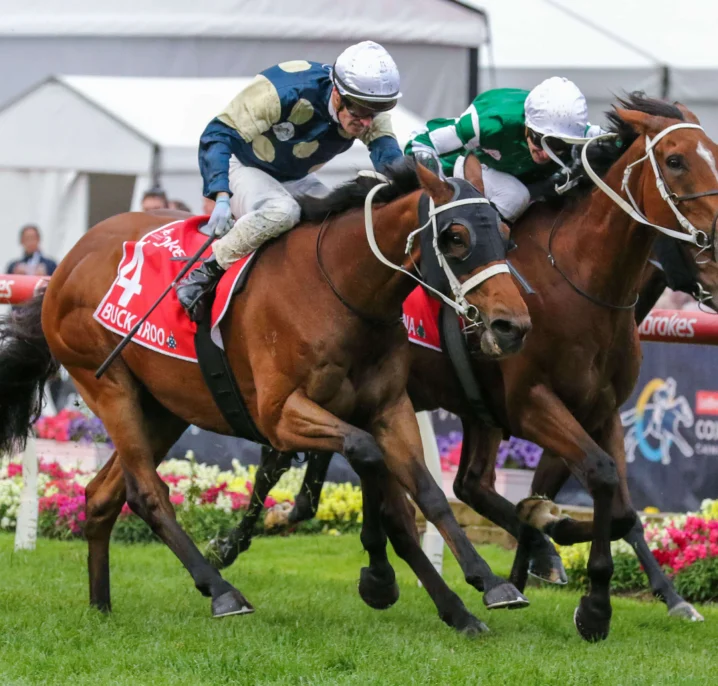 Underwood Stakes 2026 Field Preview, Tips & Best Bets